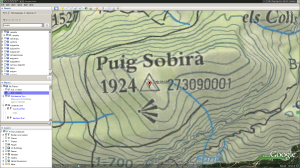 Google Earth view of Puig Sobirà